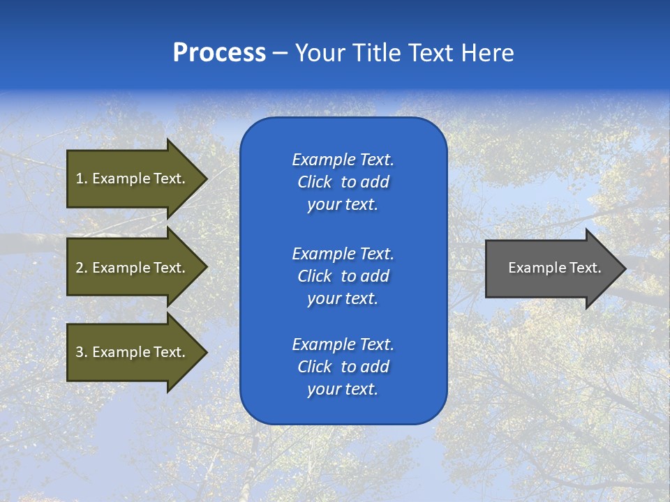 Sky's The Limit Is The Description Of This Image As The Trees Reach To The Heavens PowerPoint Template