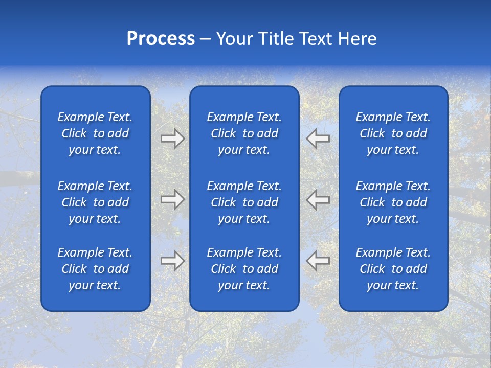 Sky's The Limit Is The Description Of This Image As The Trees Reach To The Heavens PowerPoint Template
