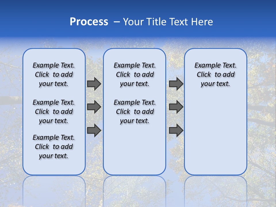 Sky's The Limit Is The Description Of This Image As The Trees Reach To The Heavens PowerPoint Template