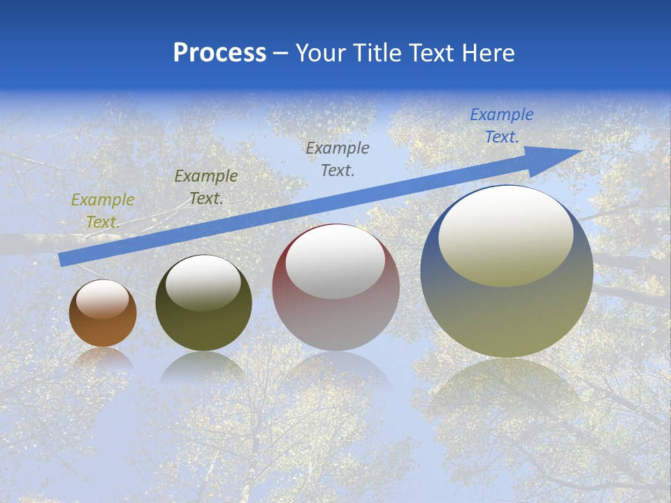 Sky's The Limit Is The Description Of This Image As The Trees Reach To The Heavens PowerPoint Template