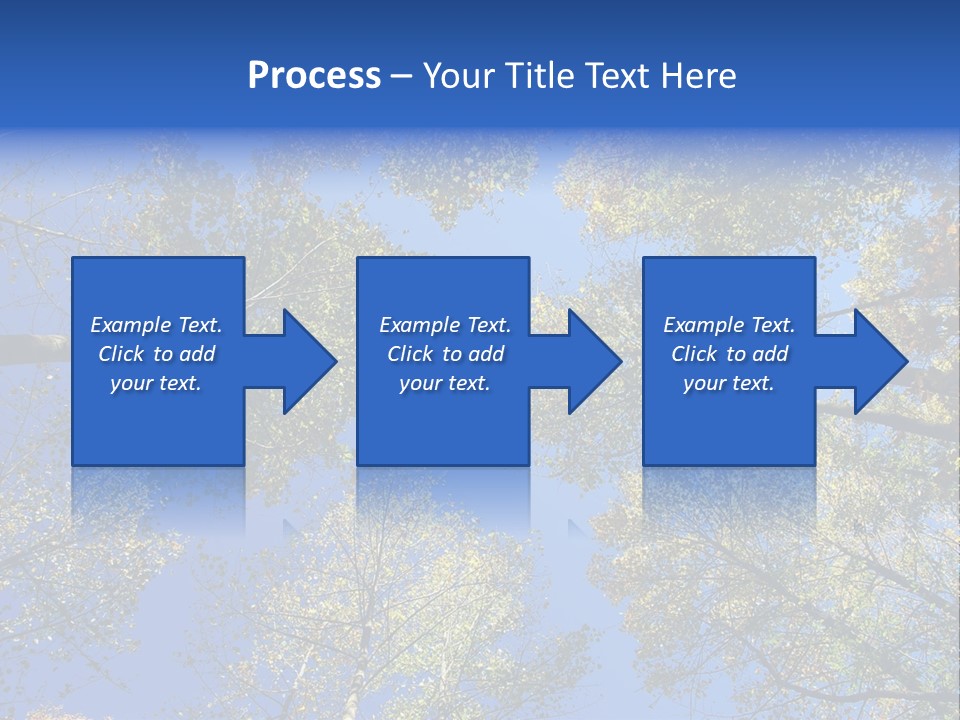 Sky's The Limit Is The Description Of This Image As The Trees Reach To The Heavens PowerPoint Template