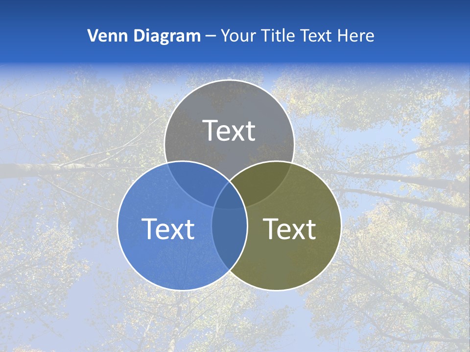 Sky's The Limit Is The Description Of This Image As The Trees Reach To The Heavens PowerPoint Template