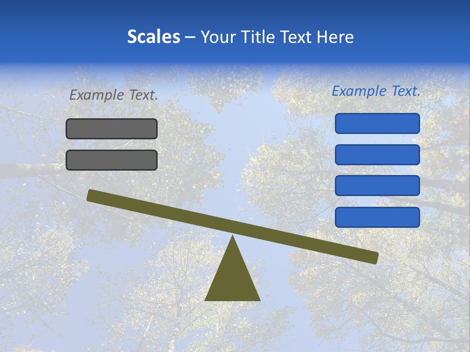 Sky's The Limit Is The Description Of This Image As The Trees Reach To The Heavens PowerPoint Template