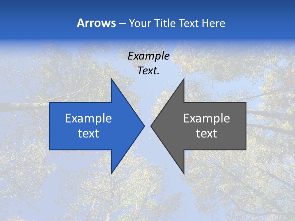 Sky's The Limit Is The Description Of This Image As The Trees Reach To The Heavens PowerPoint Template