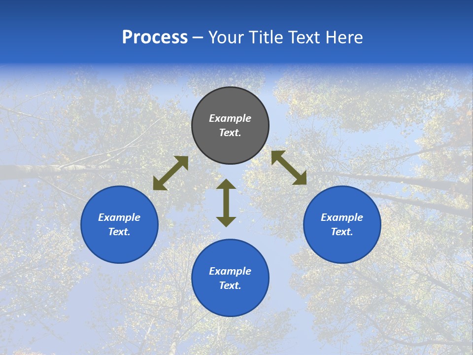 Sky's The Limit Is The Description Of This Image As The Trees Reach To The Heavens PowerPoint Template