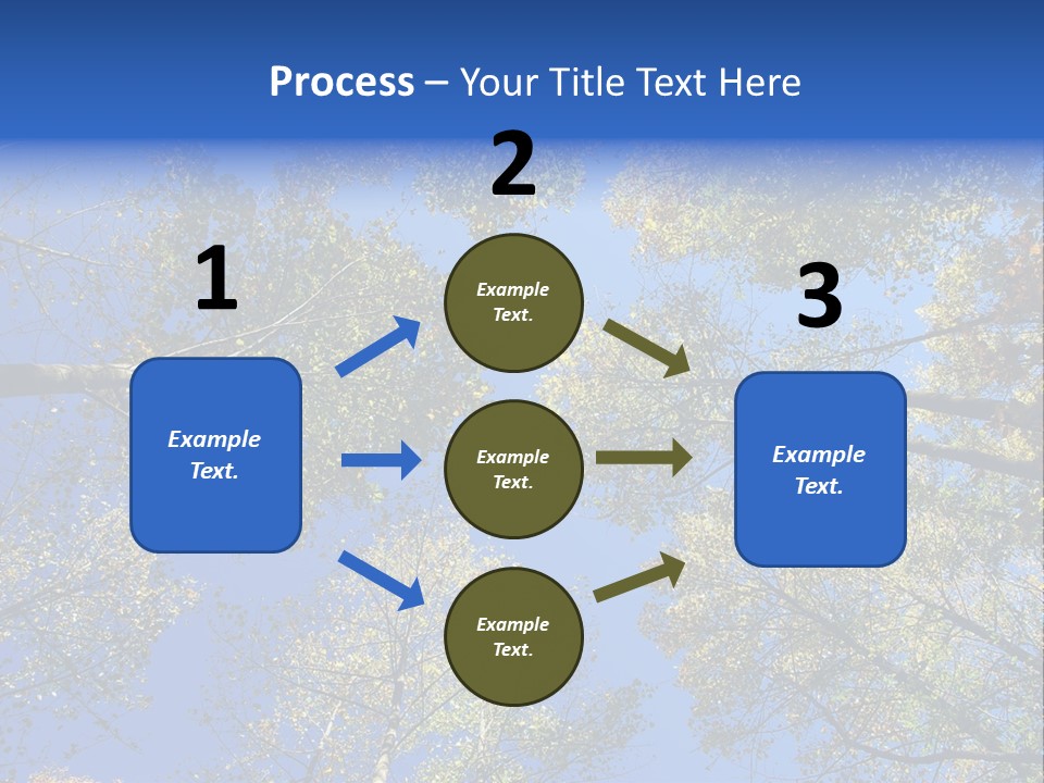Sky's The Limit Is The Description Of This Image As The Trees Reach To The Heavens PowerPoint Template