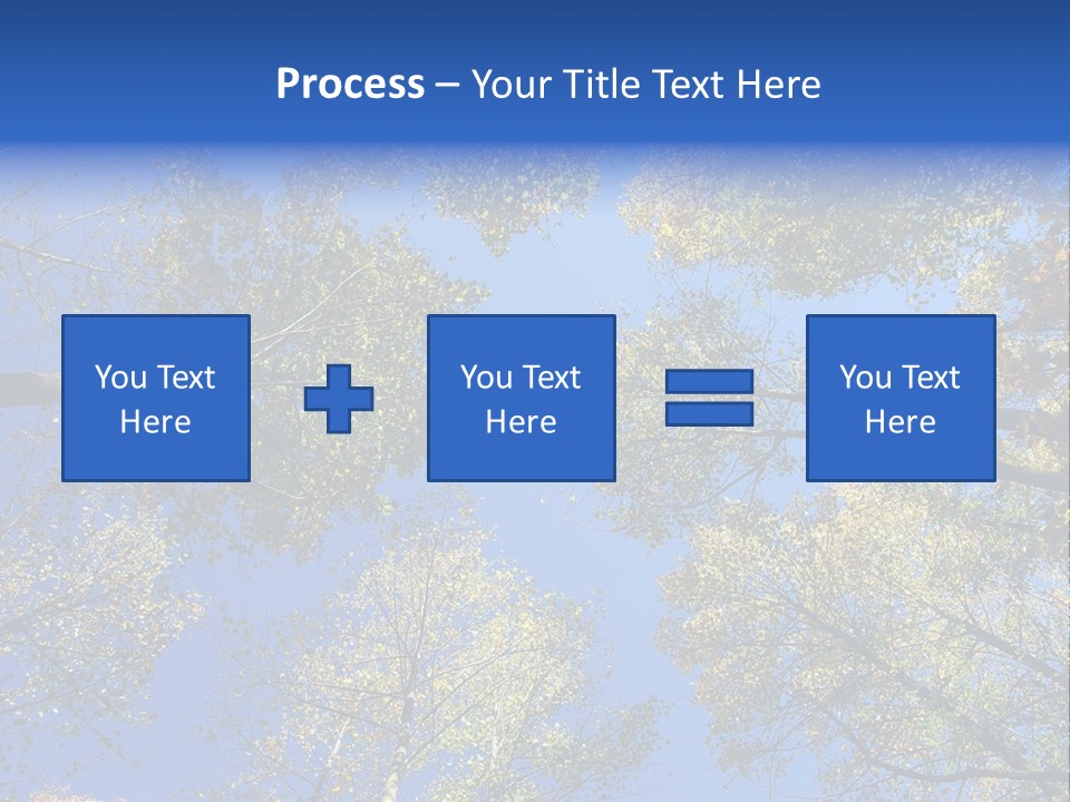 Sky's The Limit Is The Description Of This Image As The Trees Reach To The Heavens PowerPoint Template