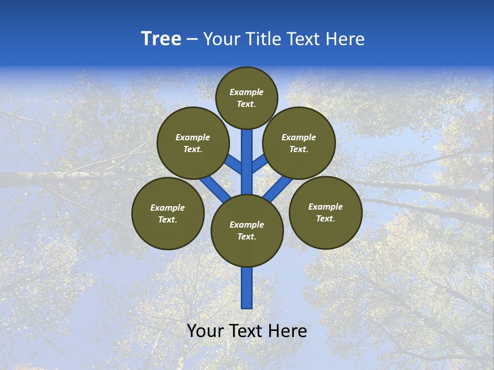 Sky's The Limit Is The Description Of This Image As The Trees Reach To The Heavens PowerPoint Template