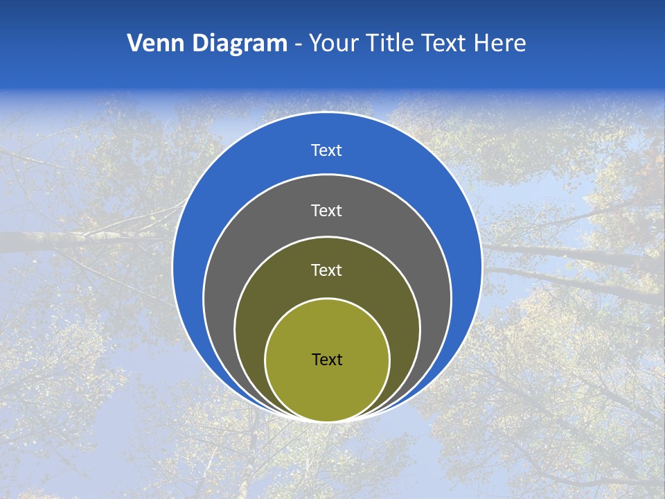 Sky's The Limit Is The Description Of This Image As The Trees Reach To The Heavens PowerPoint Template