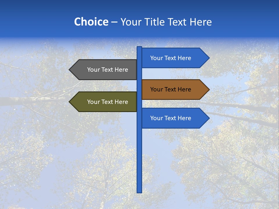Sky's The Limit Is The Description Of This Image As The Trees Reach To The Heavens PowerPoint Template
