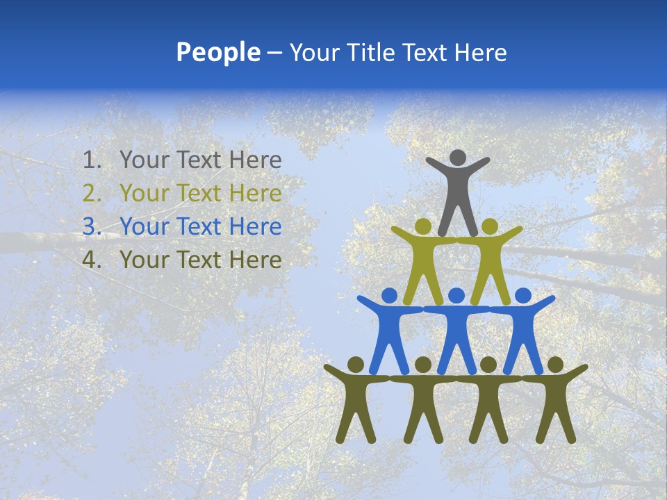 Sky's The Limit Is The Description Of This Image As The Trees Reach To The Heavens PowerPoint Template