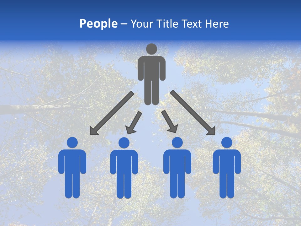 Sky's The Limit Is The Description Of This Image As The Trees Reach To The Heavens PowerPoint Template