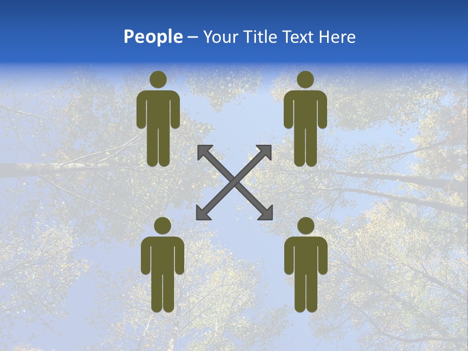 Sky's The Limit Is The Description Of This Image As The Trees Reach To The Heavens PowerPoint Template