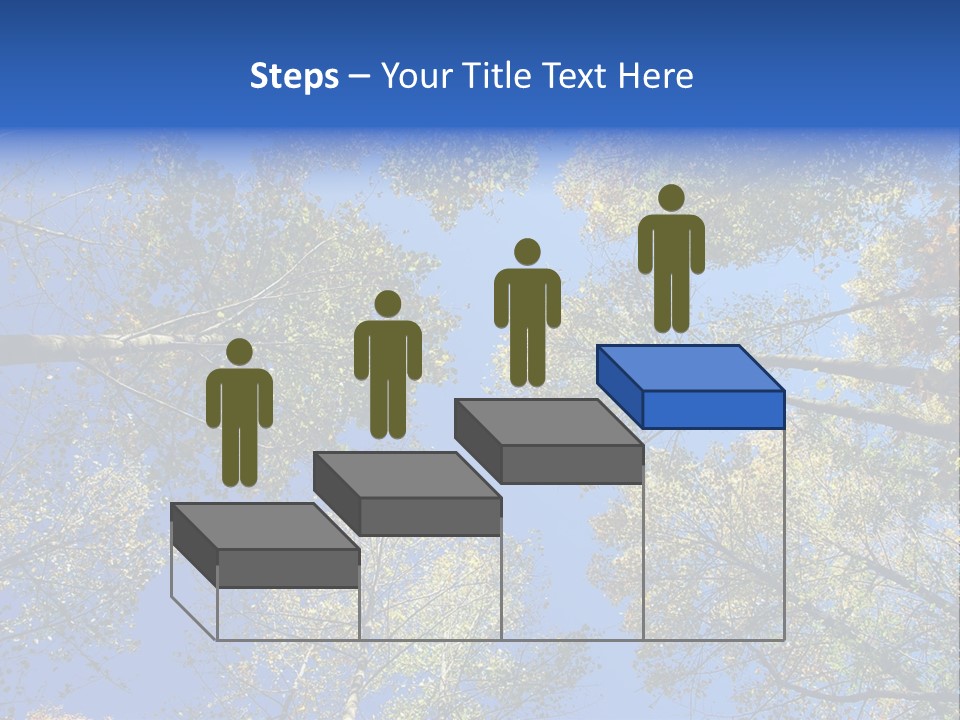 Sky's The Limit Is The Description Of This Image As The Trees Reach To The Heavens PowerPoint Template