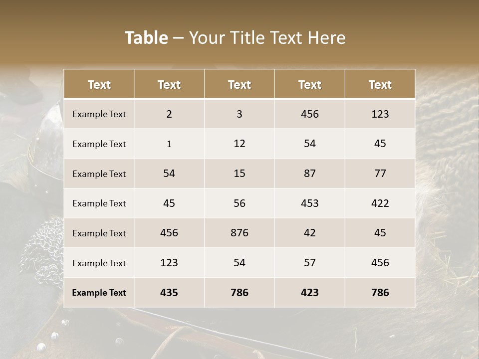 Armour Of Dark Ages On A Leather. This Armour Is Used By Club Members Today.. PowerPoint Template