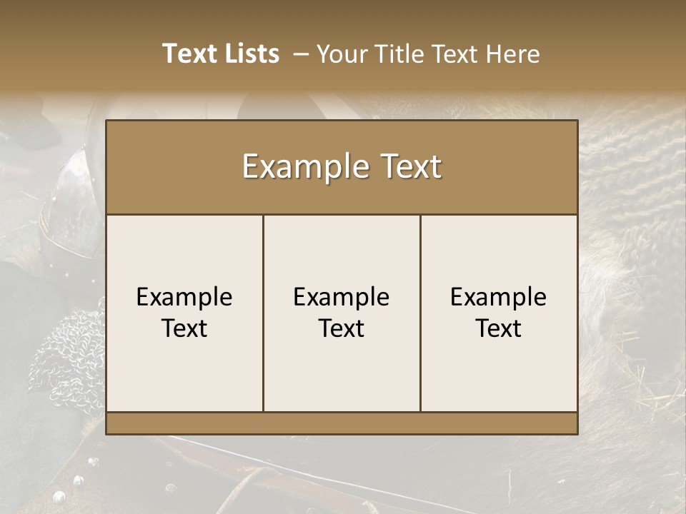 Armour Of Dark Ages On A Leather. This Armour Is Used By Club Members Today.. PowerPoint Template