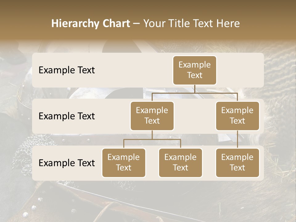 Armour Of Dark Ages On A Leather. This Armour Is Used By Club Members Today.. PowerPoint Template