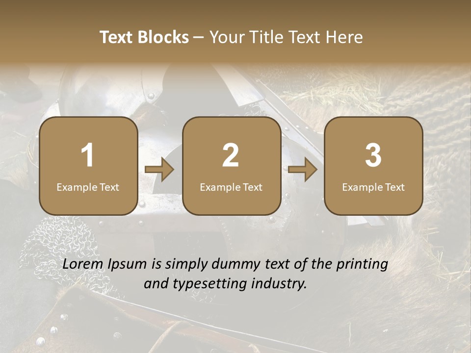 Armour Of Dark Ages On A Leather. This Armour Is Used By Club Members Today.. PowerPoint Template