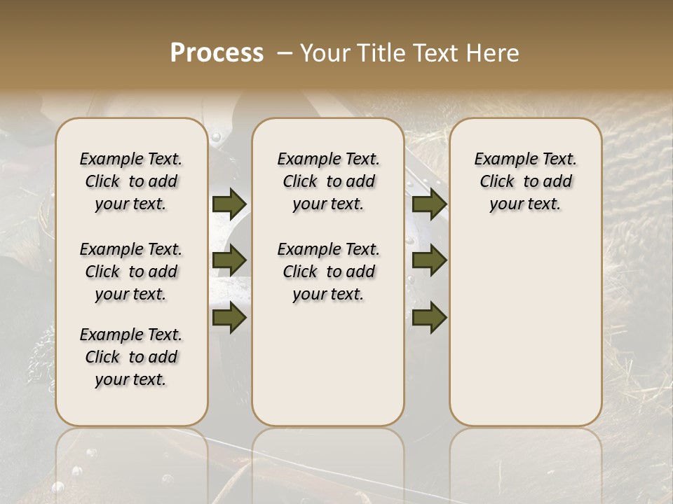 Armour Of Dark Ages On A Leather. This Armour Is Used By Club Members Today.. PowerPoint Template