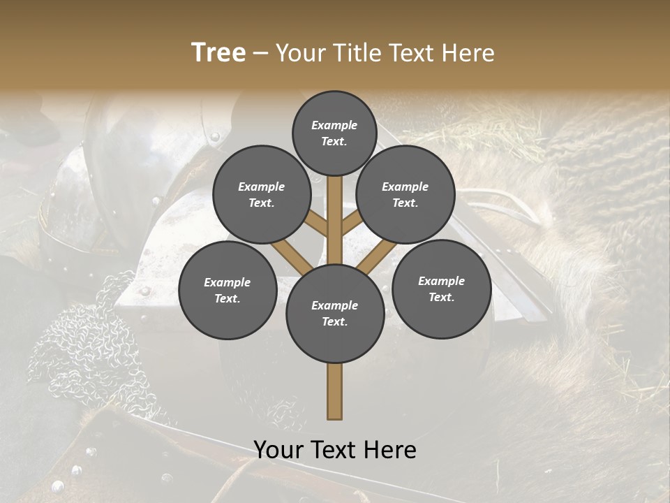 Armour Of Dark Ages On A Leather. This Armour Is Used By Club Members Today.. PowerPoint Template