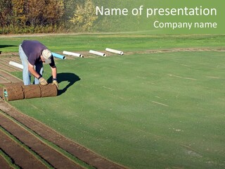 A Man Rolling Turf Grass Sod On Putting Green PowerPoint Template