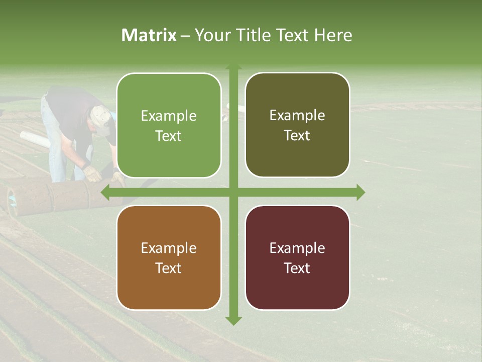 A Man Rolling Turf Grass Sod On Putting Green PowerPoint Template