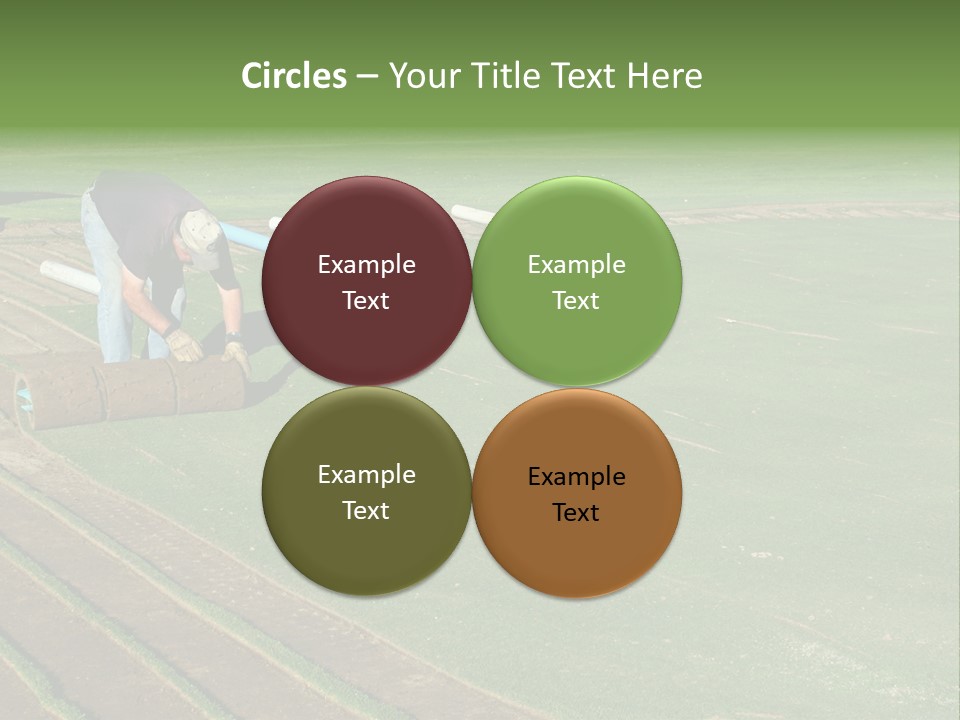 A Man Rolling Turf Grass Sod On Putting Green PowerPoint Template