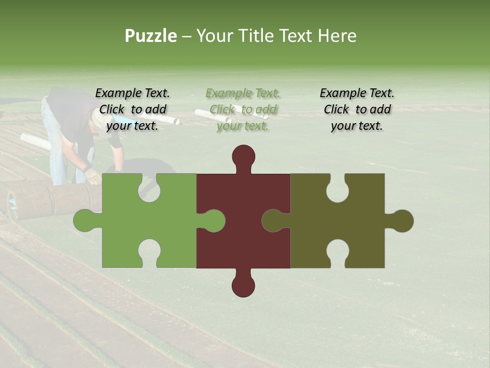 A Man Rolling Turf Grass Sod On Putting Green PowerPoint Template