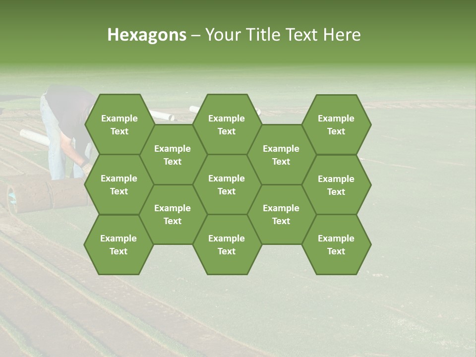 A Man Rolling Turf Grass Sod On Putting Green PowerPoint Template