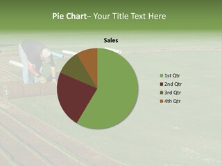 A Man Rolling Turf Grass Sod On Putting Green PowerPoint Template