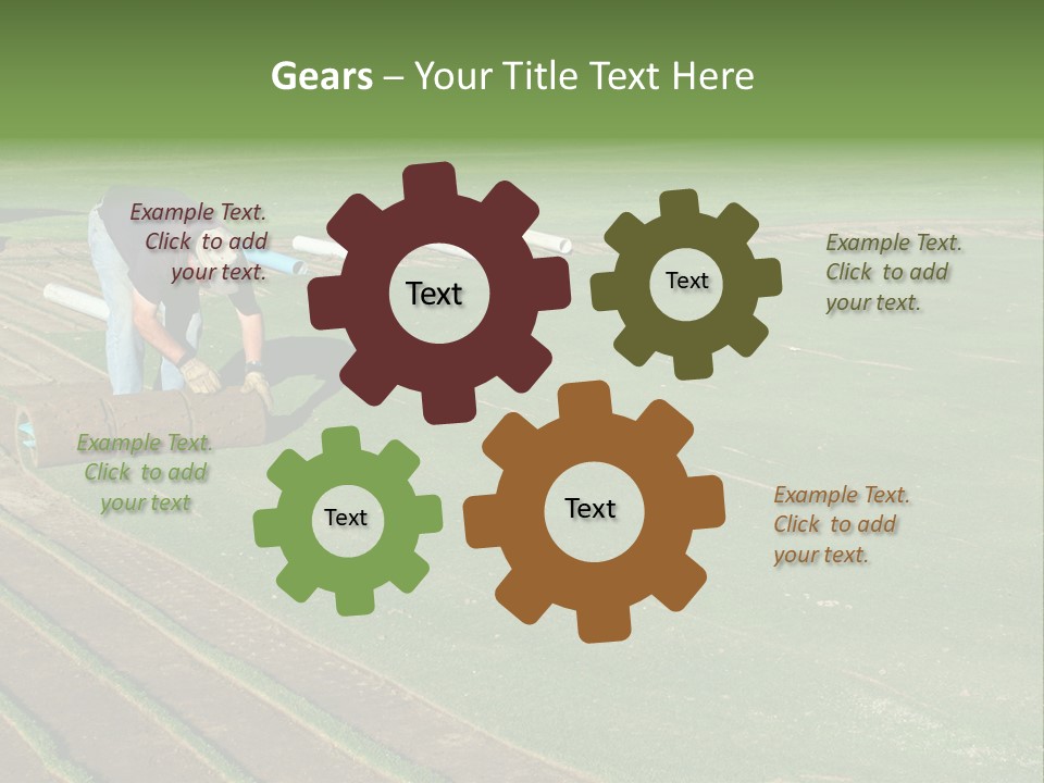 A Man Rolling Turf Grass Sod On Putting Green PowerPoint Template