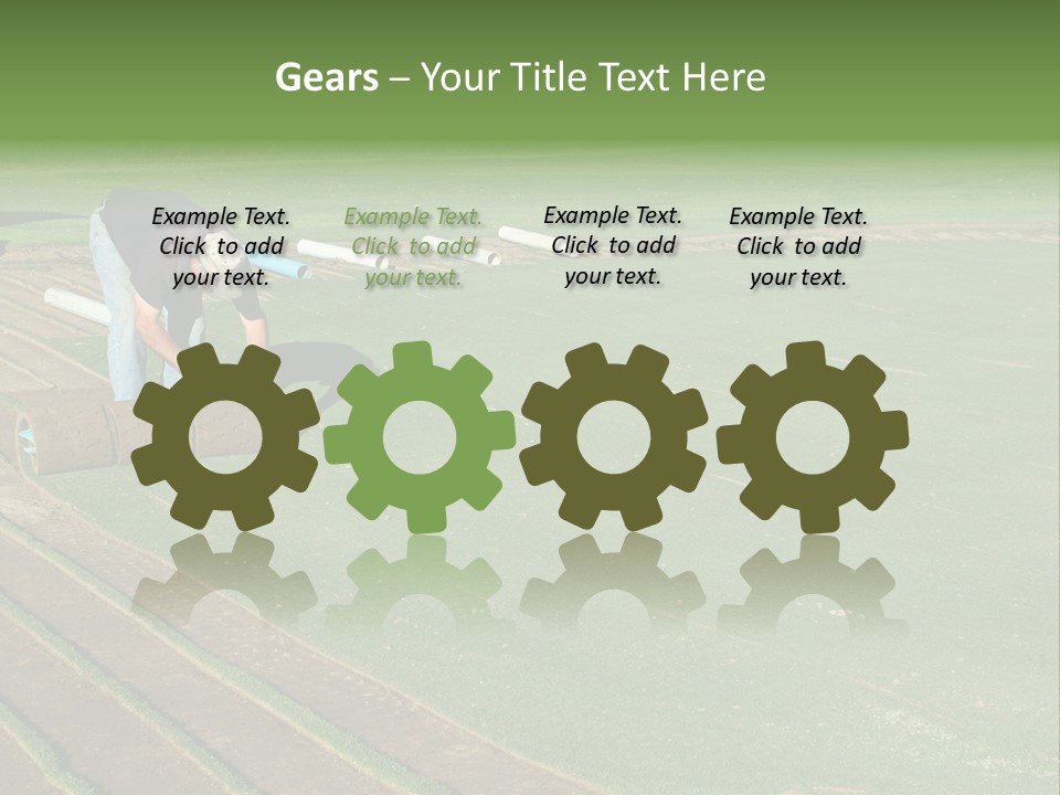 A Man Rolling Turf Grass Sod On Putting Green PowerPoint Template