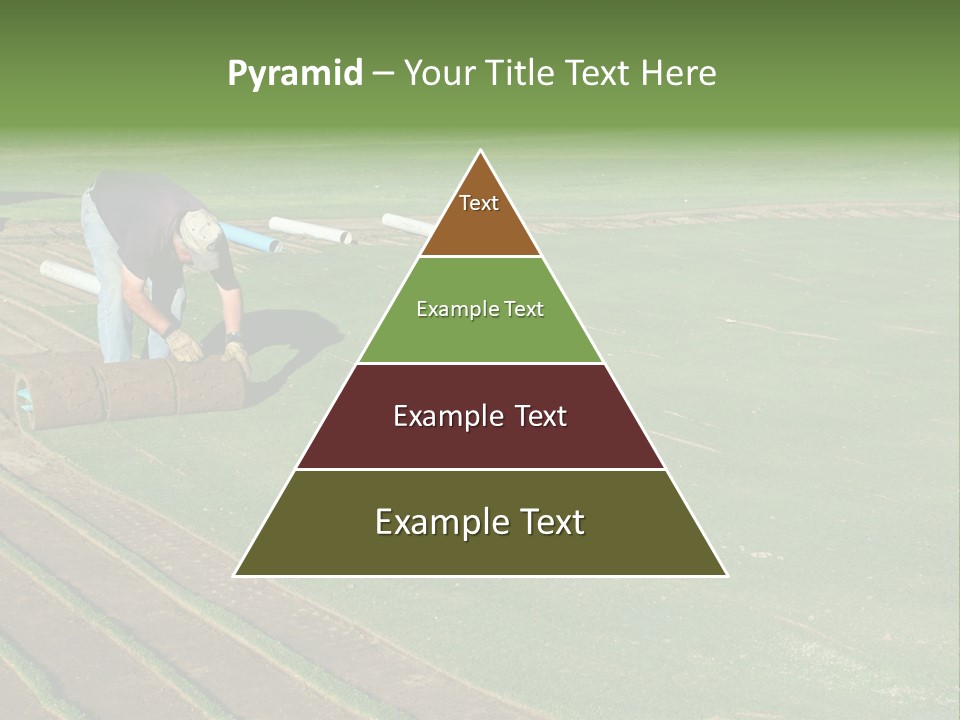 A Man Rolling Turf Grass Sod On Putting Green PowerPoint Template