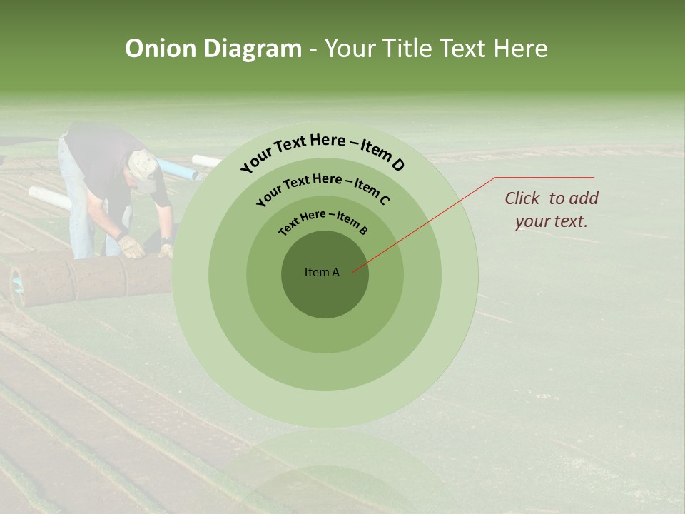 A Man Rolling Turf Grass Sod On Putting Green PowerPoint Template
