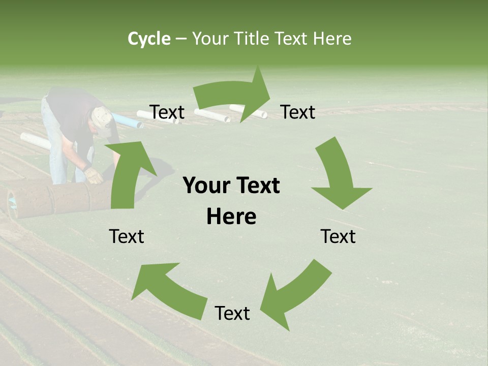 A Man Rolling Turf Grass Sod On Putting Green PowerPoint Template