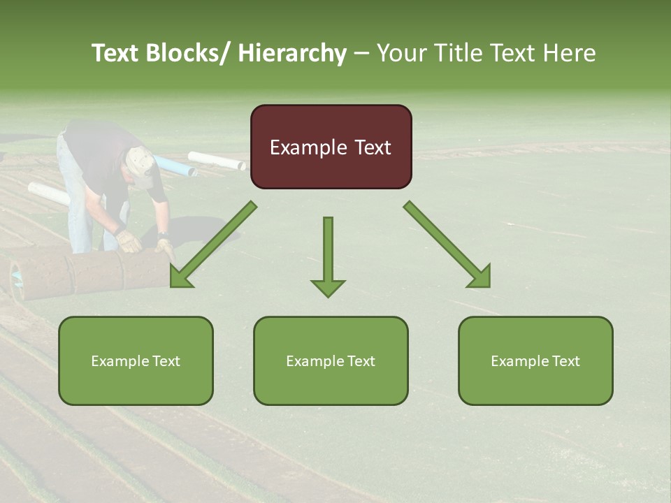 A Man Rolling Turf Grass Sod On Putting Green PowerPoint Template