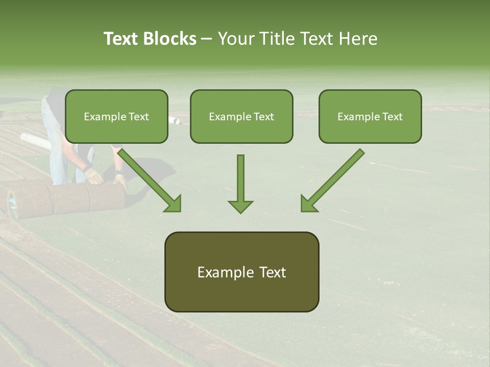 A Man Rolling Turf Grass Sod On Putting Green PowerPoint Template