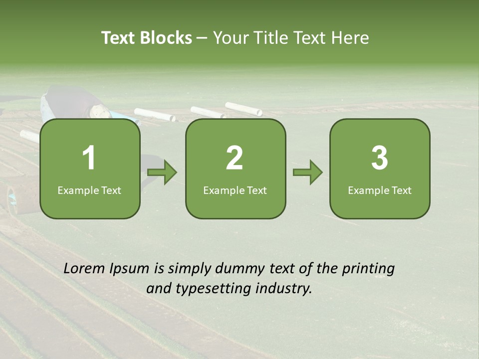 A Man Rolling Turf Grass Sod On Putting Green PowerPoint Template