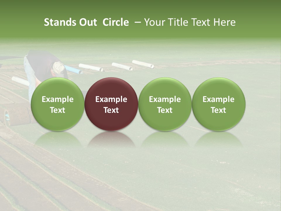 A Man Rolling Turf Grass Sod On Putting Green PowerPoint Template