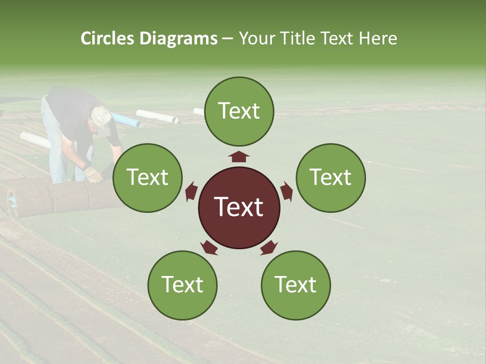 A Man Rolling Turf Grass Sod On Putting Green PowerPoint Template