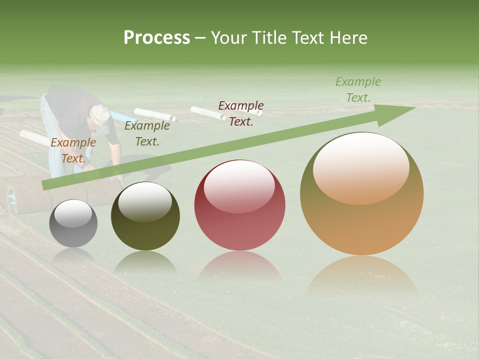 A Man Rolling Turf Grass Sod On Putting Green PowerPoint Template