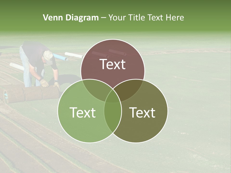 A Man Rolling Turf Grass Sod On Putting Green PowerPoint Template