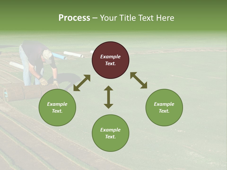 A Man Rolling Turf Grass Sod On Putting Green PowerPoint Template