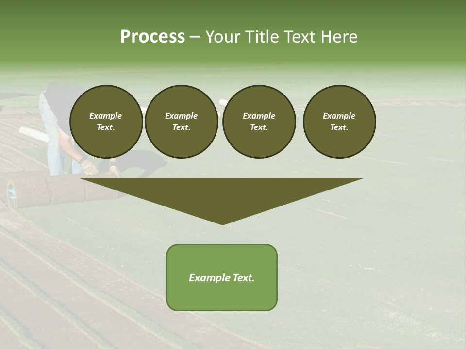 A Man Rolling Turf Grass Sod On Putting Green PowerPoint Template