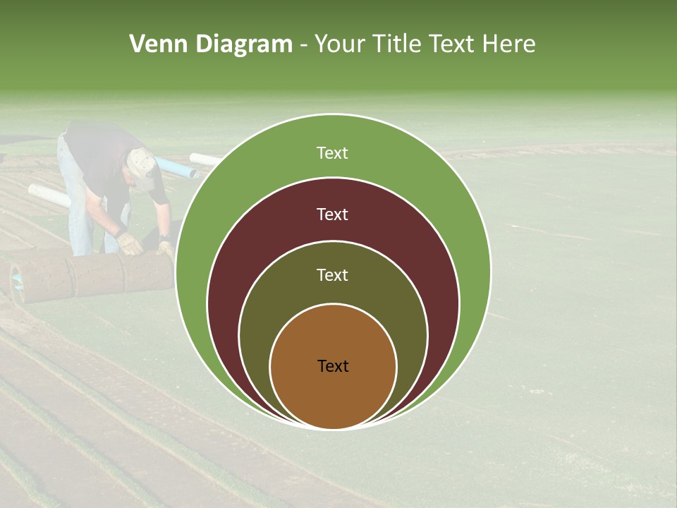 A Man Rolling Turf Grass Sod On Putting Green PowerPoint Template