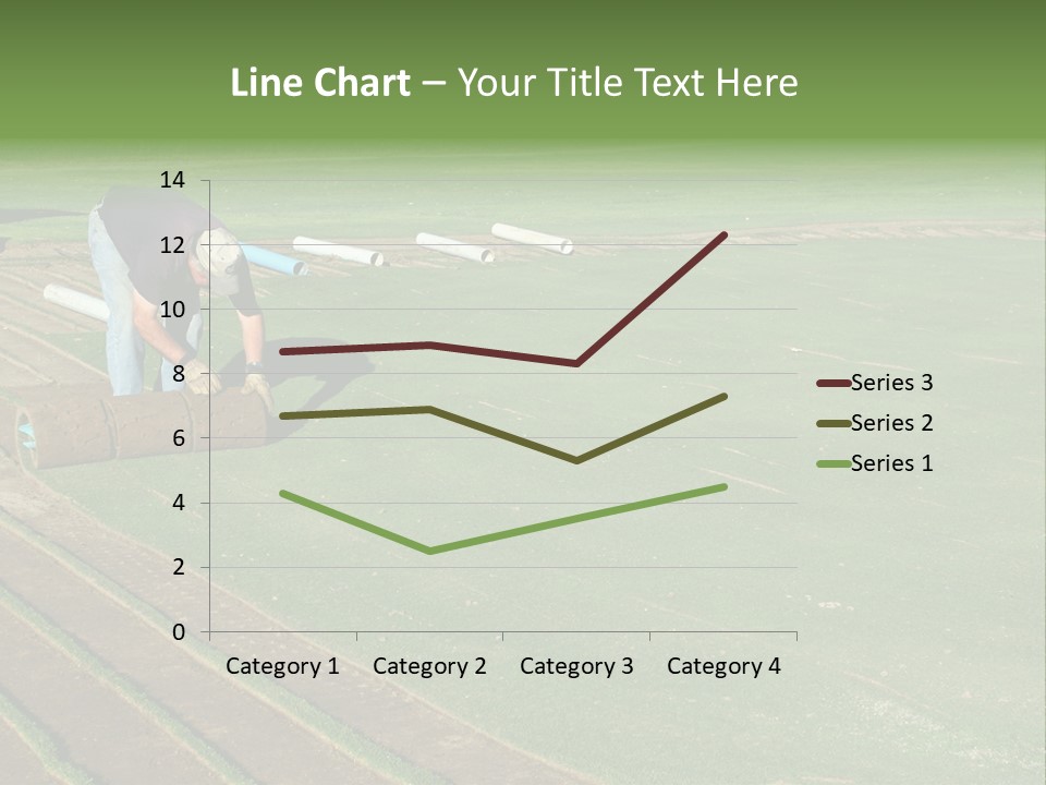 A Man Rolling Turf Grass Sod On Putting Green PowerPoint Template
