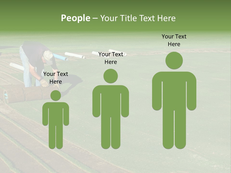 A Man Rolling Turf Grass Sod On Putting Green PowerPoint Template