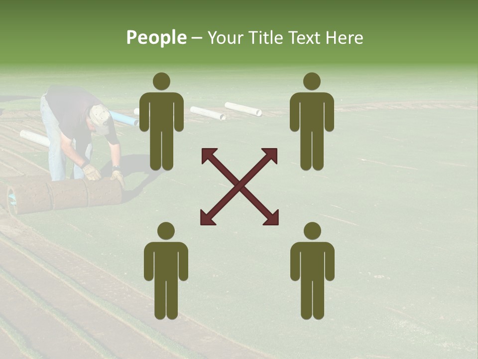 A Man Rolling Turf Grass Sod On Putting Green PowerPoint Template