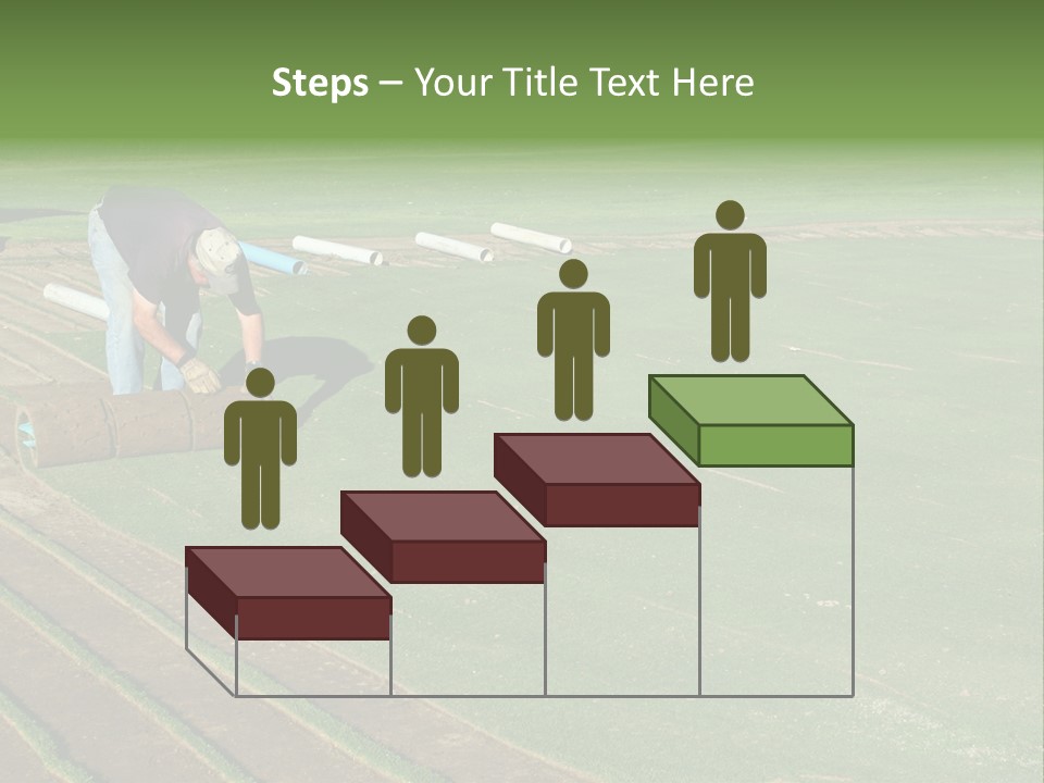 A Man Rolling Turf Grass Sod On Putting Green PowerPoint Template