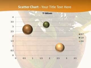 Healing Herbs And Edible Flowers (Hand Carved Olive Tree Mortar And Pestle) PowerPoint Template